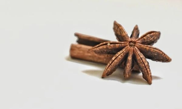 Blogg om ingredienser: Stjerneanis